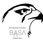 Basa