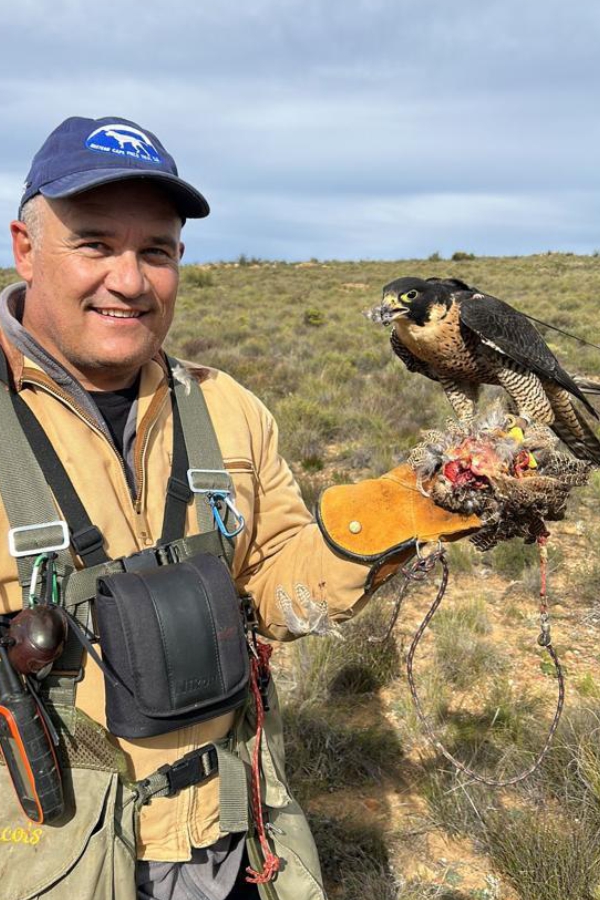 Francios Breed Francios Breed